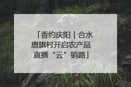 香约庆阳｜合水唐旗村开启农产品直播“云”销路