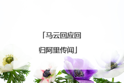 马云回应回归阿里传闻