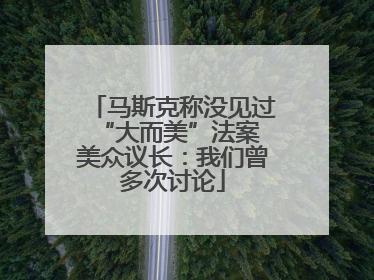 马斯克称没见过“大而美”法案 美众议长：我们曾多次讨论