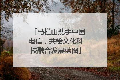 马栏山携手中国电信，共绘文化科技融合发展蓝图