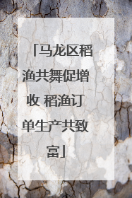 马龙区稻渔共舞促增收 稻渔订单生产共致富