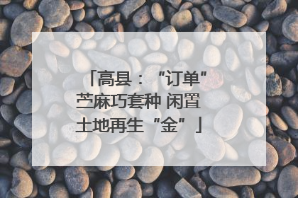 高县：“订单”苎麻巧套种 闲置土地再生“金”
