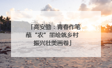 高安勤：青春作笔蘸“农”墨绘就乡村振兴壮美画卷