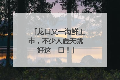 龙口又一海鲜上市，不少人夏天就好这一口！