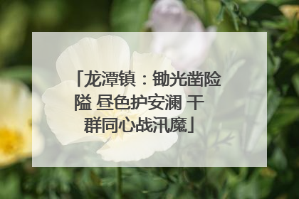 龙潭镇：锄光凿险隘 昼色护安澜 干群同心战汛魔