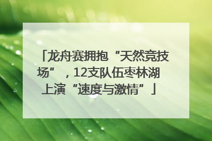 龙舟赛拥抱“天然竞技场”，12支队伍枣林湖上演“速度与激情”
