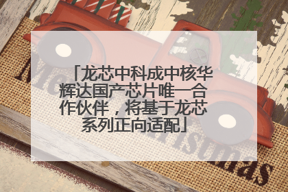 龙芯中科成中核华辉达国产芯片唯一合作伙伴，将基于龙芯系列正向适配