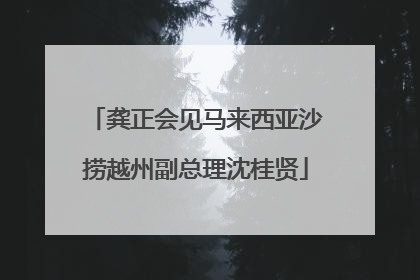 龚正会见马来西亚沙捞越州副总理沈桂贤