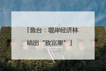 鱼台：堤岸经济林结出“致富果”