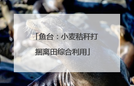 鱼台：小麦秸秆打捆离田综合利用