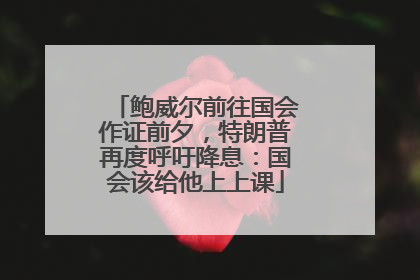 鲍威尔前往国会作证前夕，特朗普再度呼吁降息：国会该给他上上课