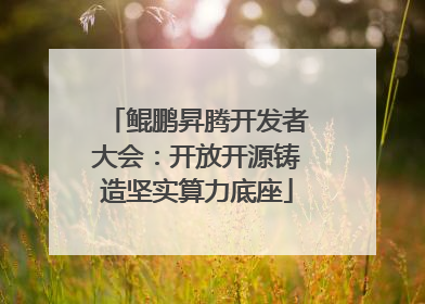 鲲鹏昇腾开发者大会：开放开源铸造坚实算力底座