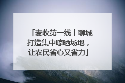 麦收第一线丨聊城打造集中晾晒场地，让农民省心又省力