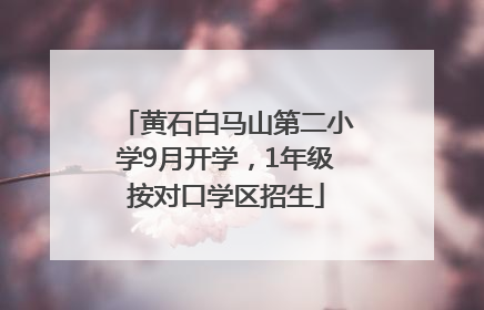 黄石白马山第二小学9月开学，1年级按对口学区招生