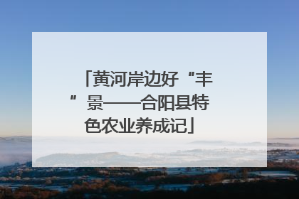 黄河岸边好“丰”景——合阳县特色农业养成记