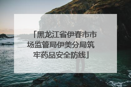 黑龙江省伊春市市场监管局伊美分局筑牢药品安全防线