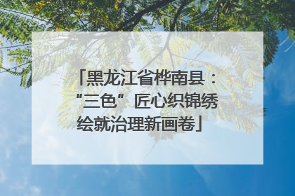 黑龙江省桦南县：“三色”匠心织锦绣 绘就治理新画卷