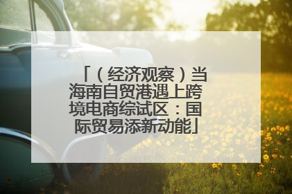 （经济观察）当海南自贸港遇上跨境电商综试区：国际贸易添新动能