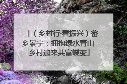 （乡村行·看振兴）畲乡景宁：拥抱绿水青山 乡村迎来共富蝶变