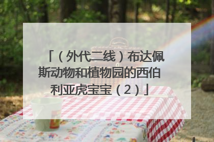 （外代二线）布达佩斯动物和植物园的西伯利亚虎宝宝（2）