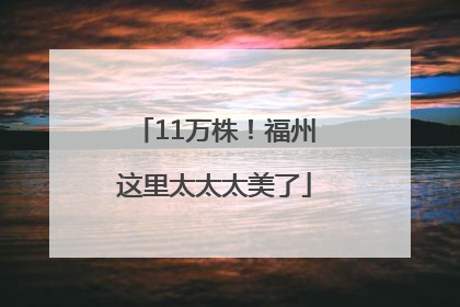 11万株！福州这里太太太美了