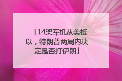 14架军机从美抵以，特朗普两周内决定是否打伊朗
