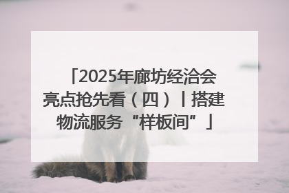 2025年廊坊经洽会亮点抢先看（四）丨搭建物流服务“样板间”