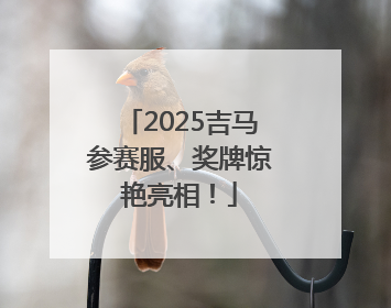 2025吉马参赛服、奖牌惊艳亮相！