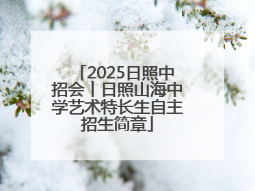2025日照中招会丨日照山海中学艺术特长生自主招生简章
