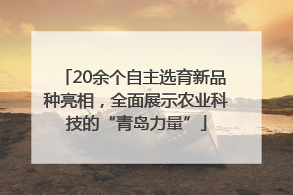 20余个自主选育新品种亮相，全面展示农业科技的“青岛力量”