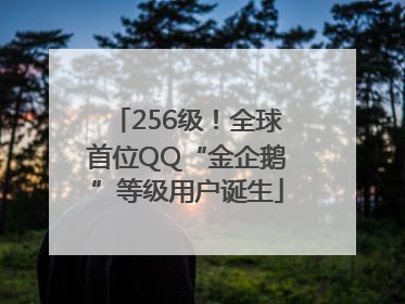 256级！全球首位QQ“金企鹅”等级用户诞生