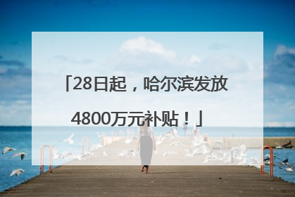 28日起，哈尔滨发放4800万元补贴！