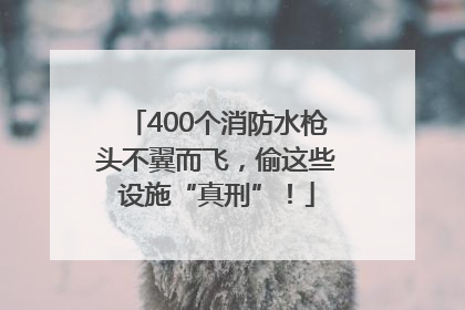 400个消防水枪头不翼而飞，偷这些设施“真刑”！