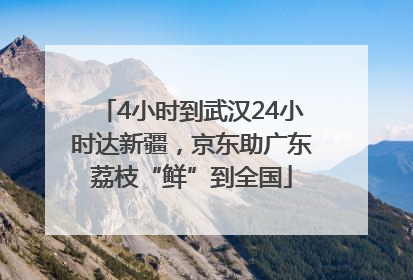 4小时到武汉24小时达新疆，京东助广东荔枝“鲜”到全国