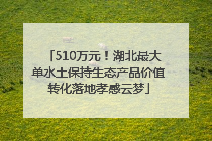 510万元！湖北最大单水土保持生态产品价值转化落地孝感云梦