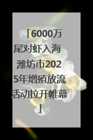 6000万尾对虾入海 潍坊市2025年增殖放流活动拉开帷幕