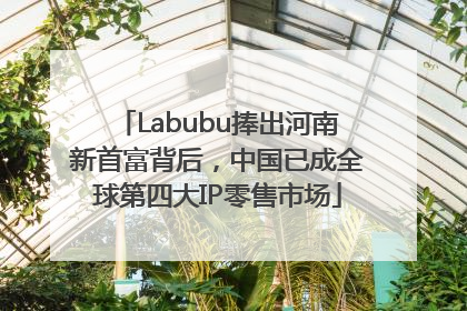 Labubu捧出河南新首富背后，中国已成全球第四大IP零售市场